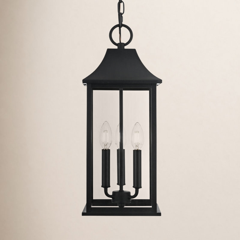 Birch Lane™ Hanover 8 x 20.5 inch Outdoor Pendant in Black